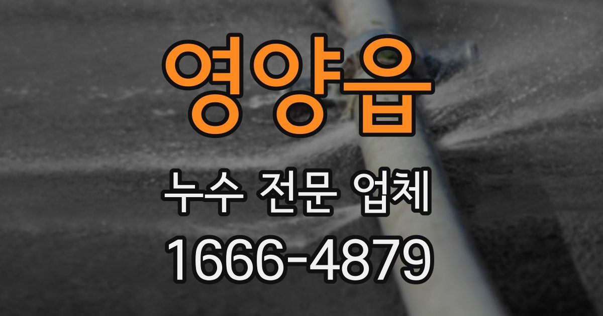영양읍 누수 전문 업체