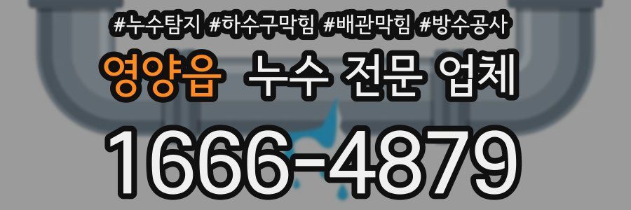 영양읍 누수 전문 업체