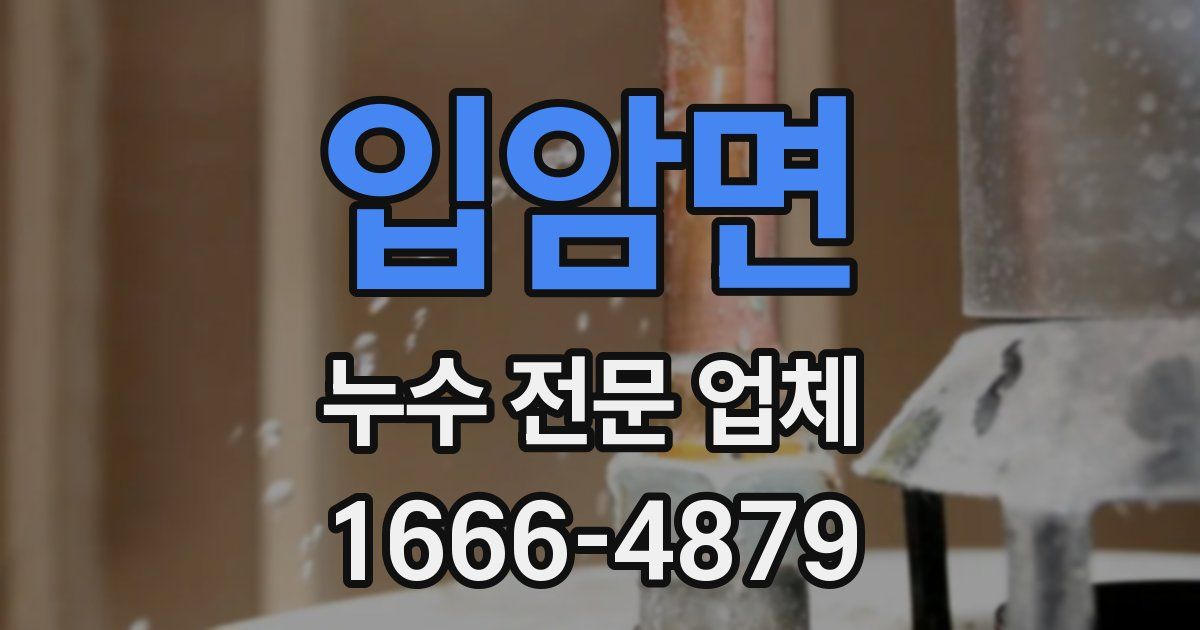 입암면 누수 전문 업체