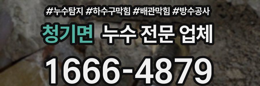 청기면 누수 전문 업체