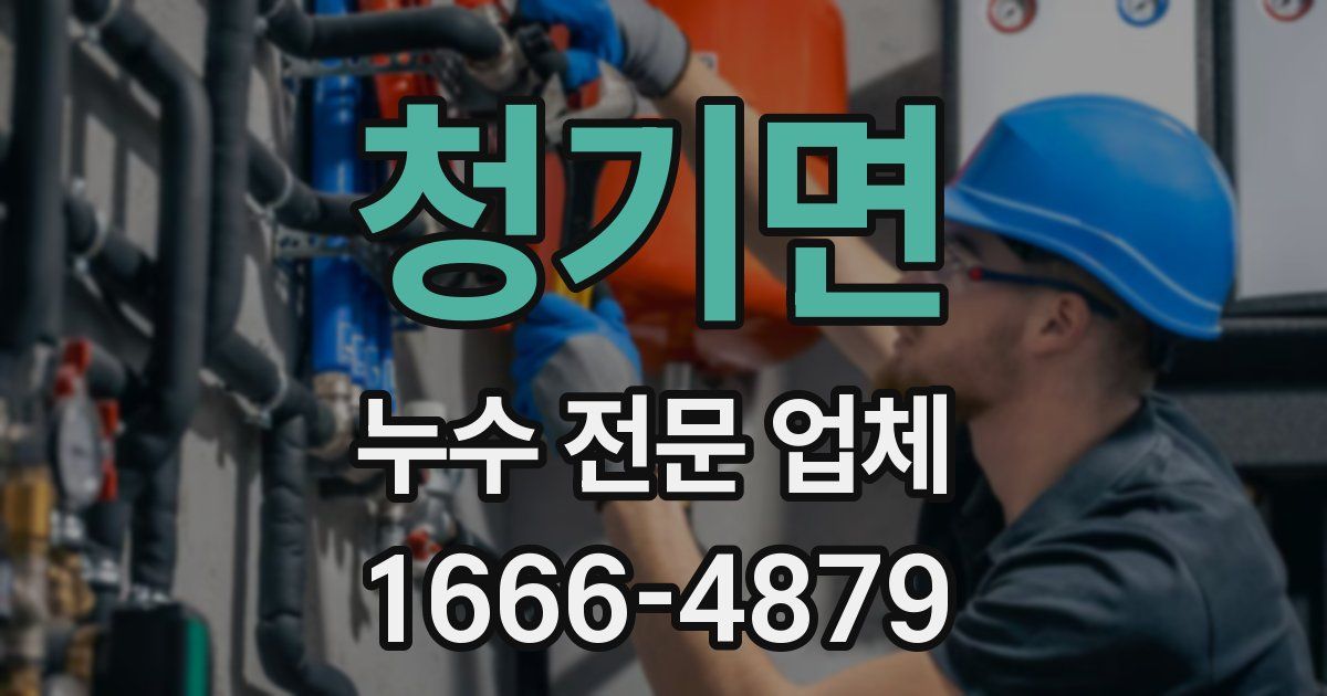 청기면 누수 전문 업체
