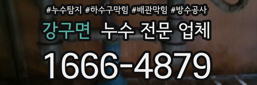 강구면 누수 전문 업체