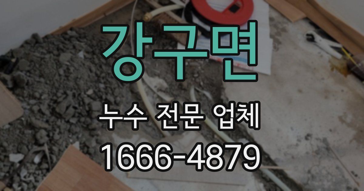 강구면 누수 전문 업체
