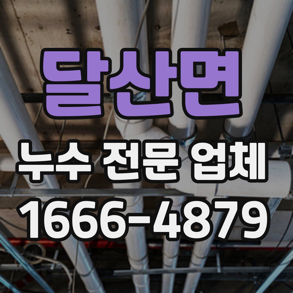달산면 누수 전문 업체