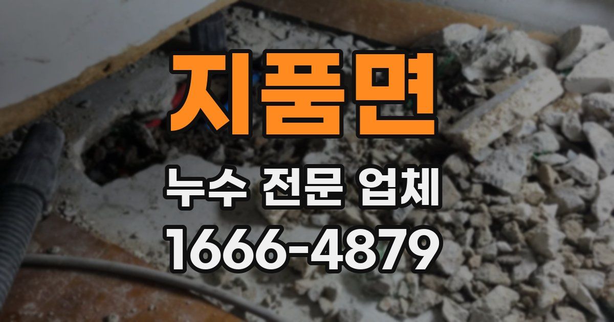 지품면 누수 전문 업체
