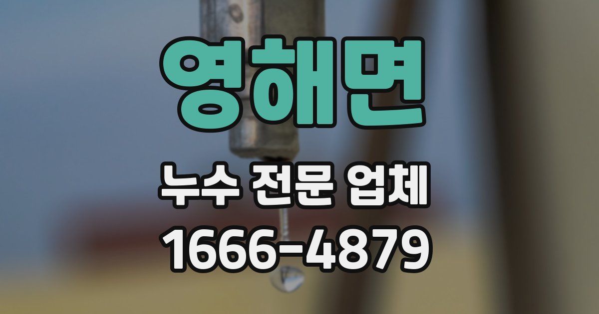 영해면 누수 전문 업체