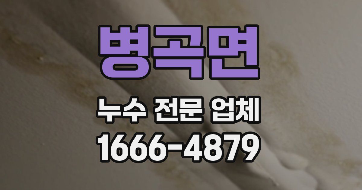 병곡면 누수 전문 업체
