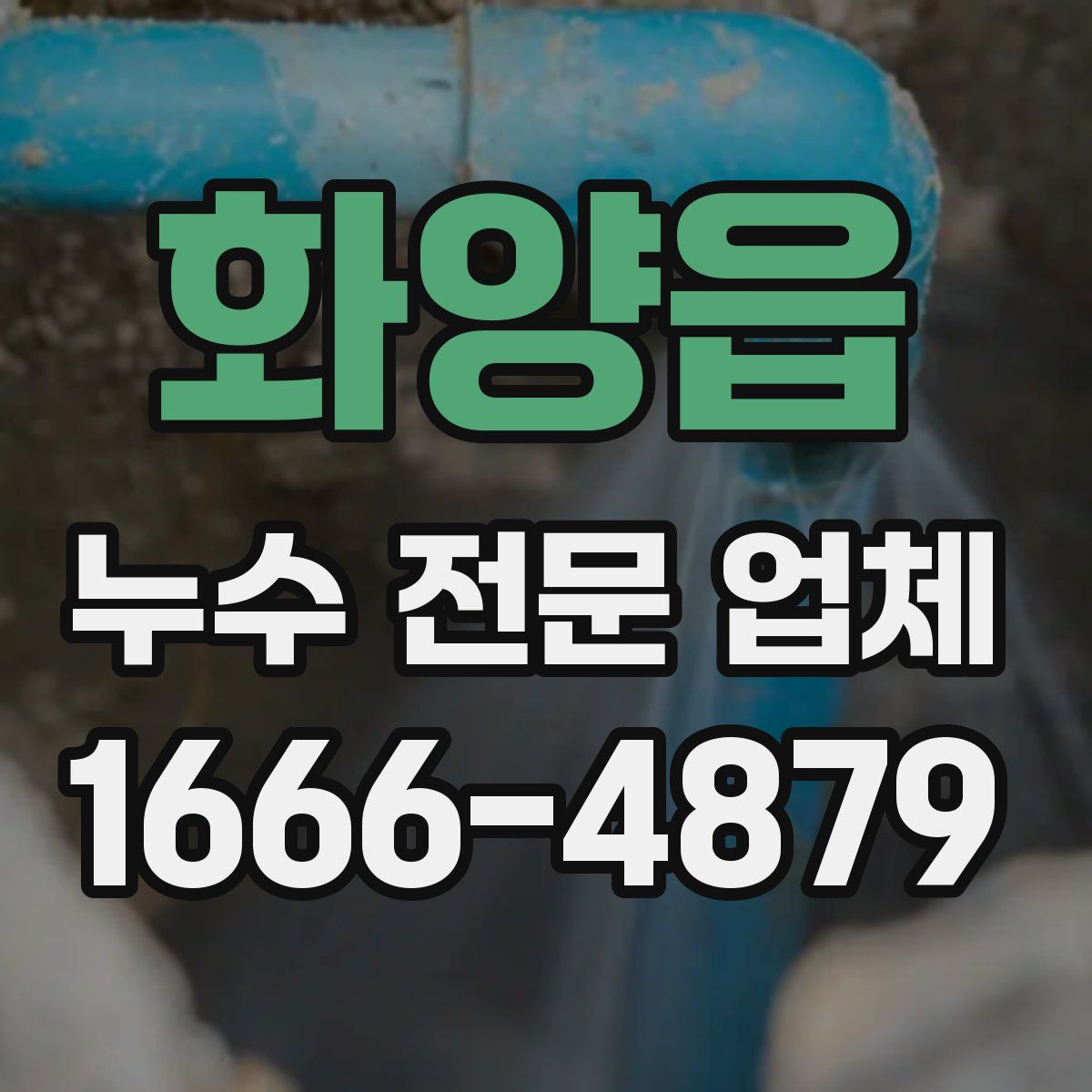 화양읍 누수 전문 업체