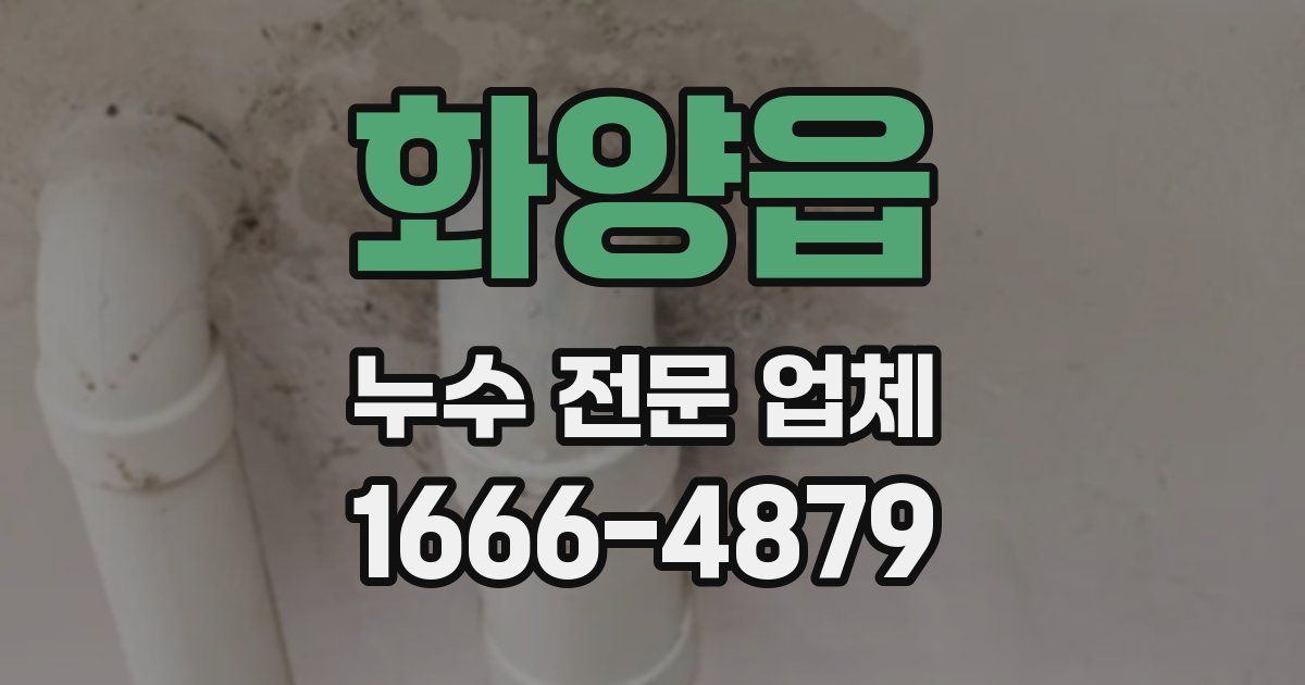 화양읍 누수 전문 업체
