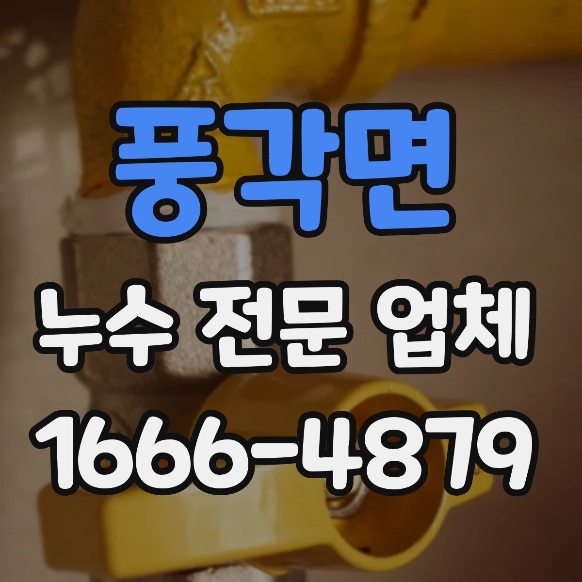 풍각면 누수 전문 업체