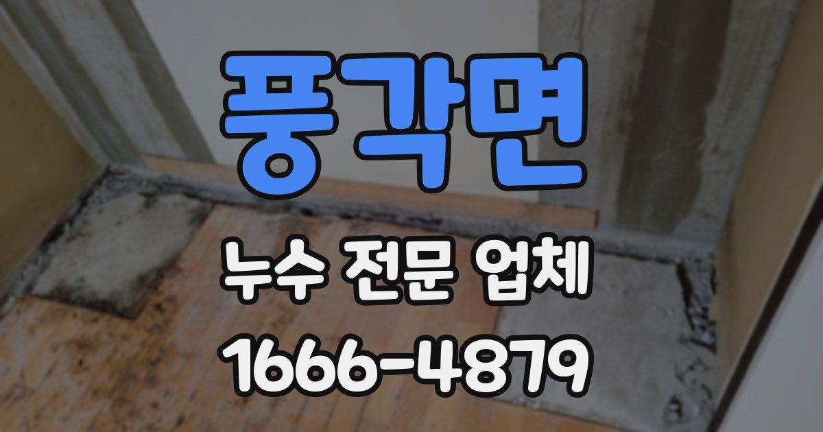 풍각면 누수 전문 업체
