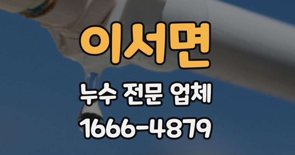 이서면 누수 전문 업체