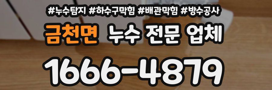 금천면 누수 전문 업체
