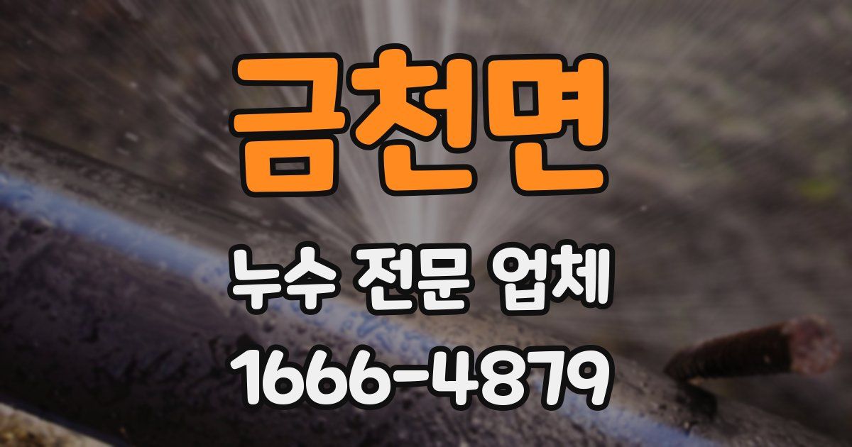 금천면 누수 전문 업체