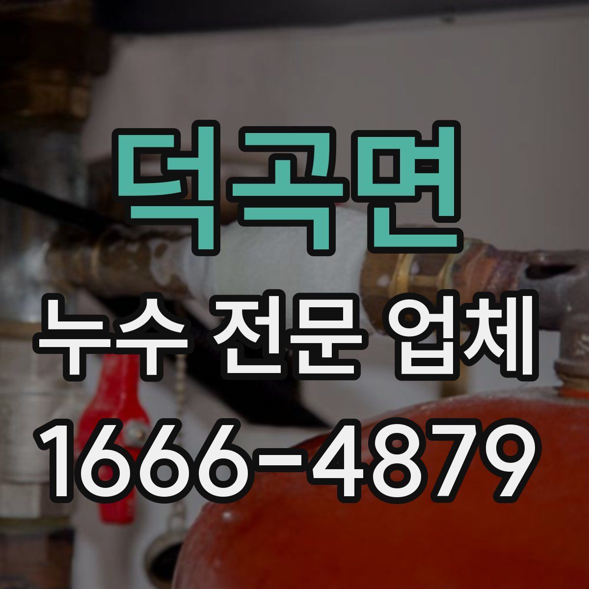 덕곡면 누수 전문 업체