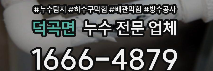 덕곡면 누수 전문 업체