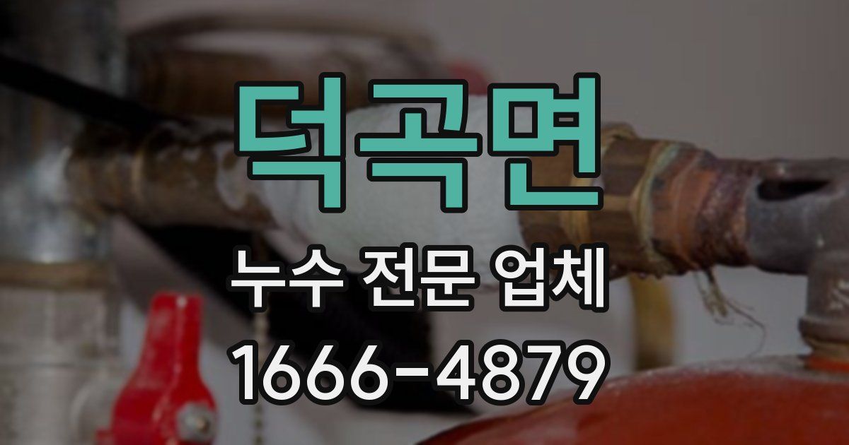 덕곡면 누수 전문 업체