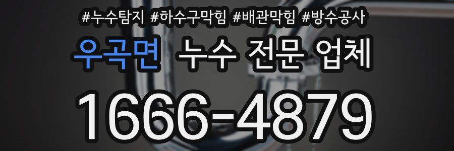 우곡면 누수 전문 업체
