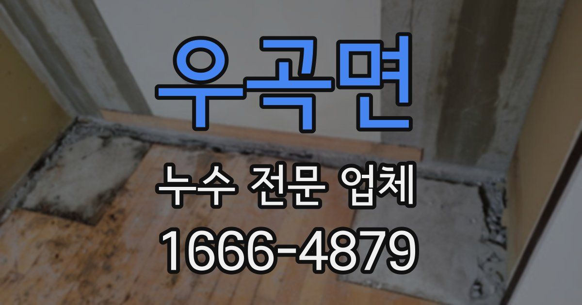 우곡면 누수 전문 업체