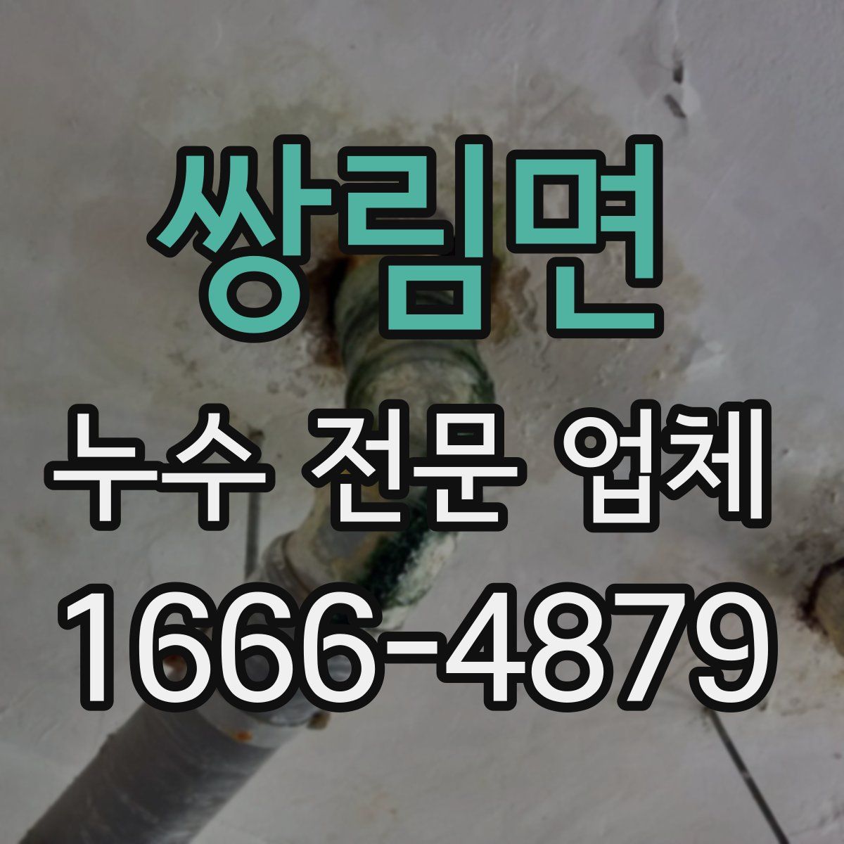 쌍림면 누수 전문 업체