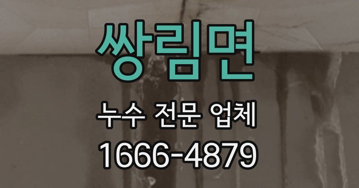 쌍림면 누수 전문 업체