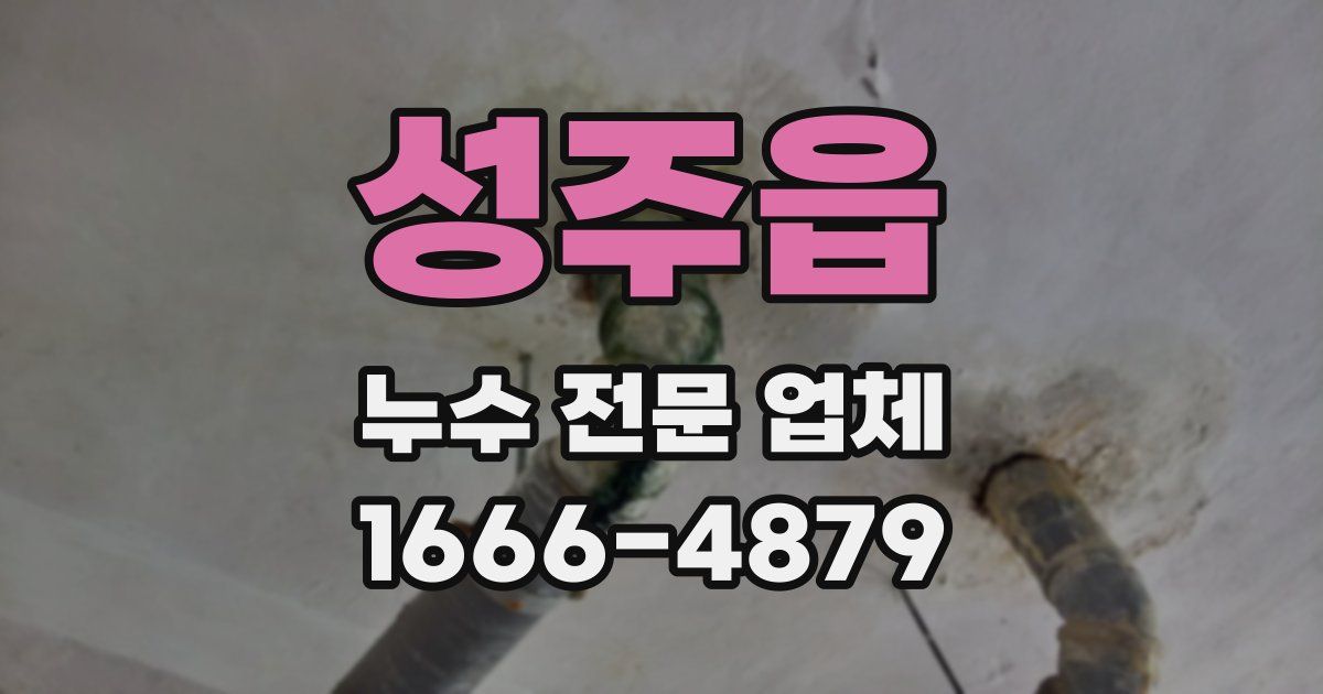 성주읍 누수 전문 업체
