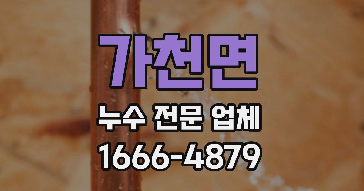 가천면 누수 전문 업체