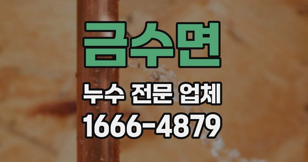 금수면 누수 전문 업체