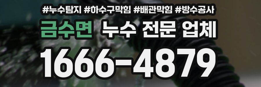 금수면 누수 전문 업체