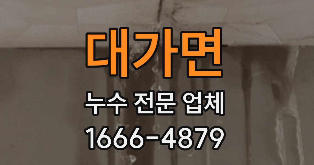 대가면 누수 전문 업체