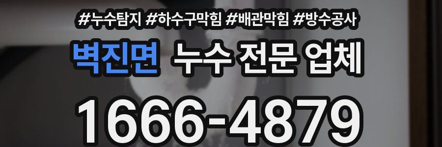 벽진면 누수 전문 업체