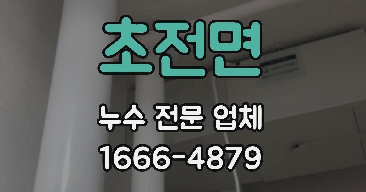 초전면 누수 전문 업체
