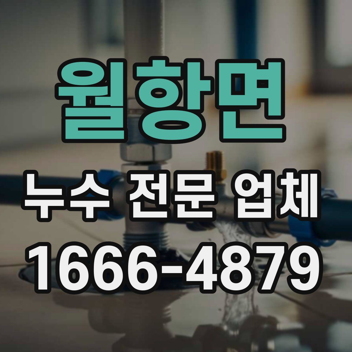 월항면 누수 전문 업체