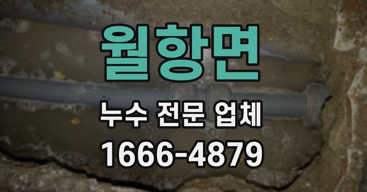 월항면 누수 전문 업체