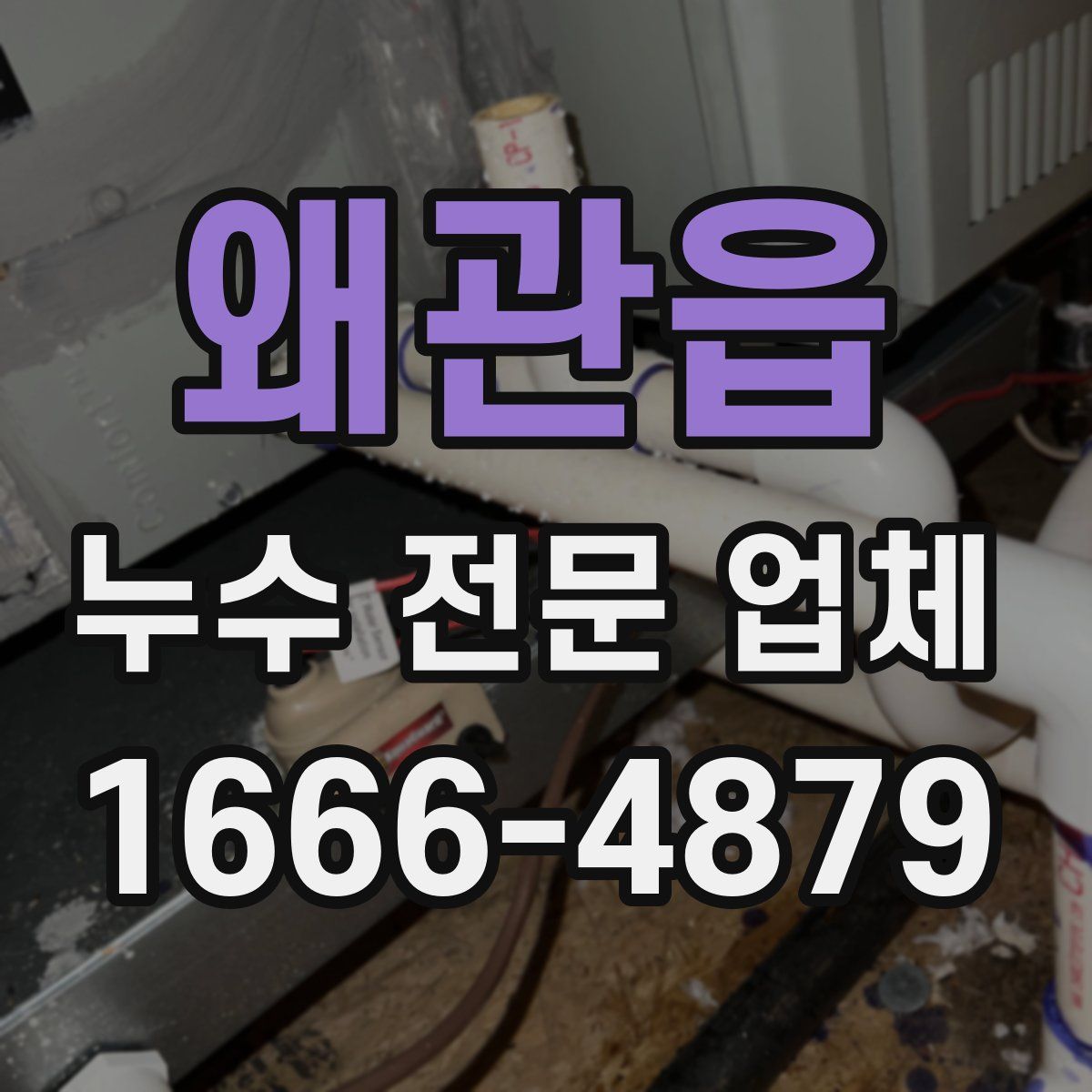 왜관읍 누수 전문 업체
