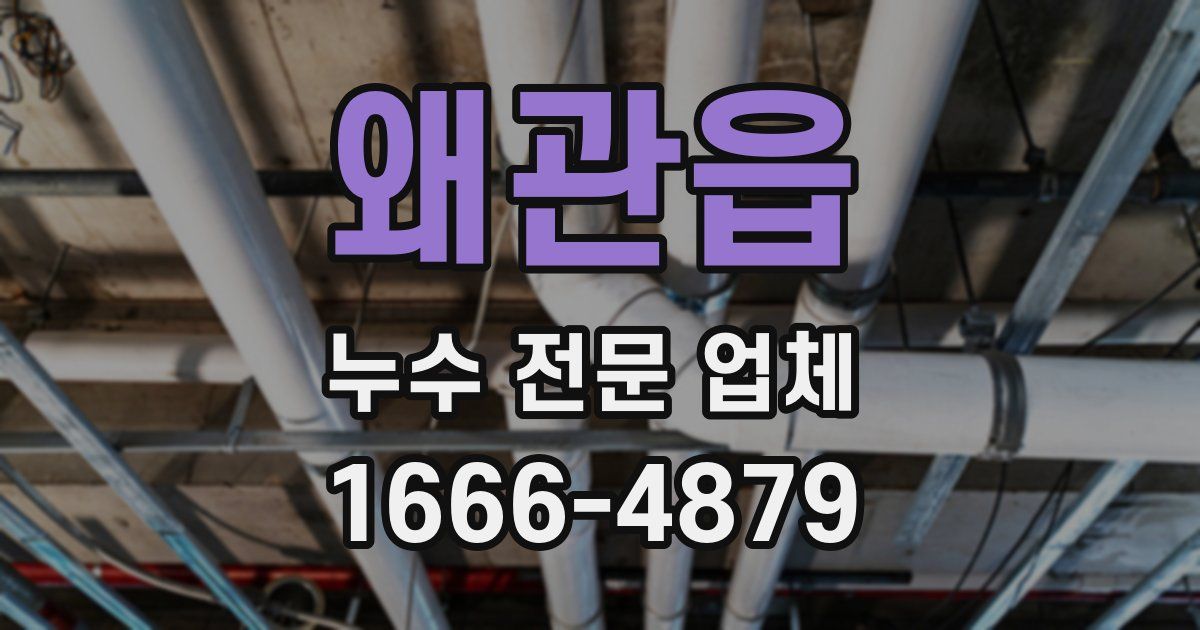 왜관읍 누수 전문 업체