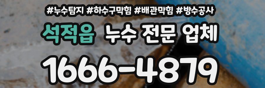 석적읍 누수 전문 업체