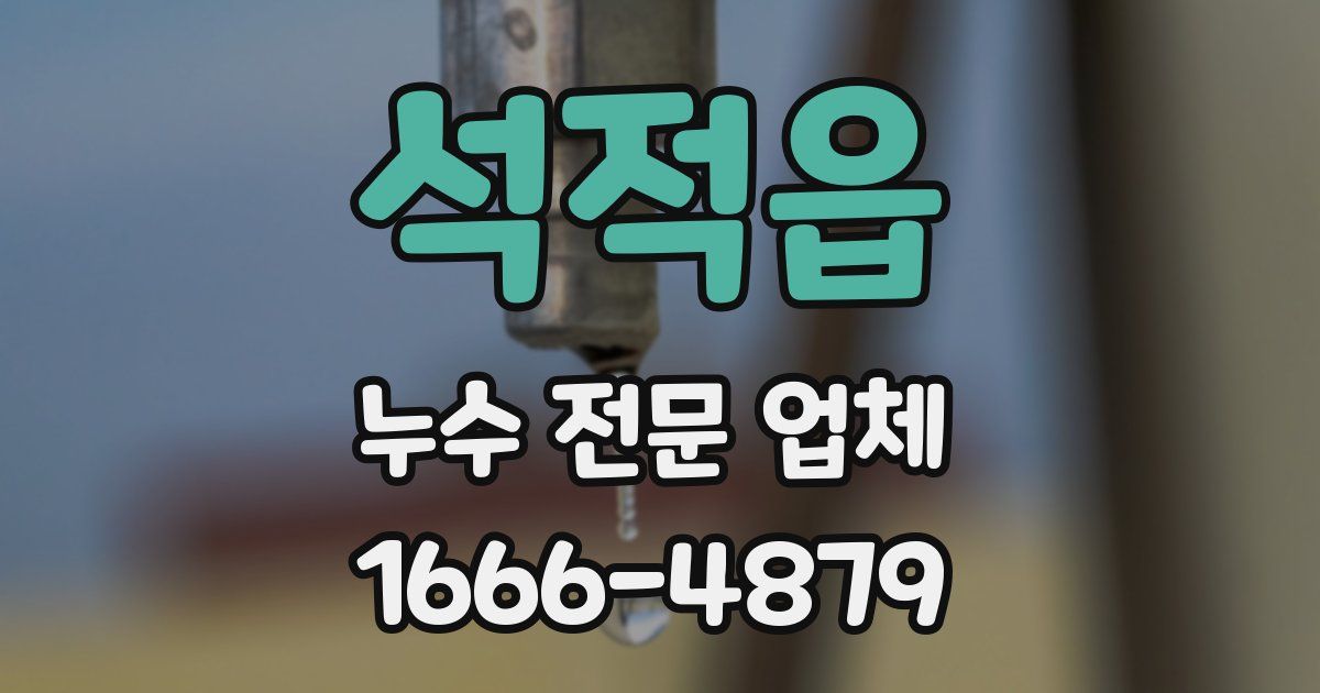 석적읍 누수 전문 업체