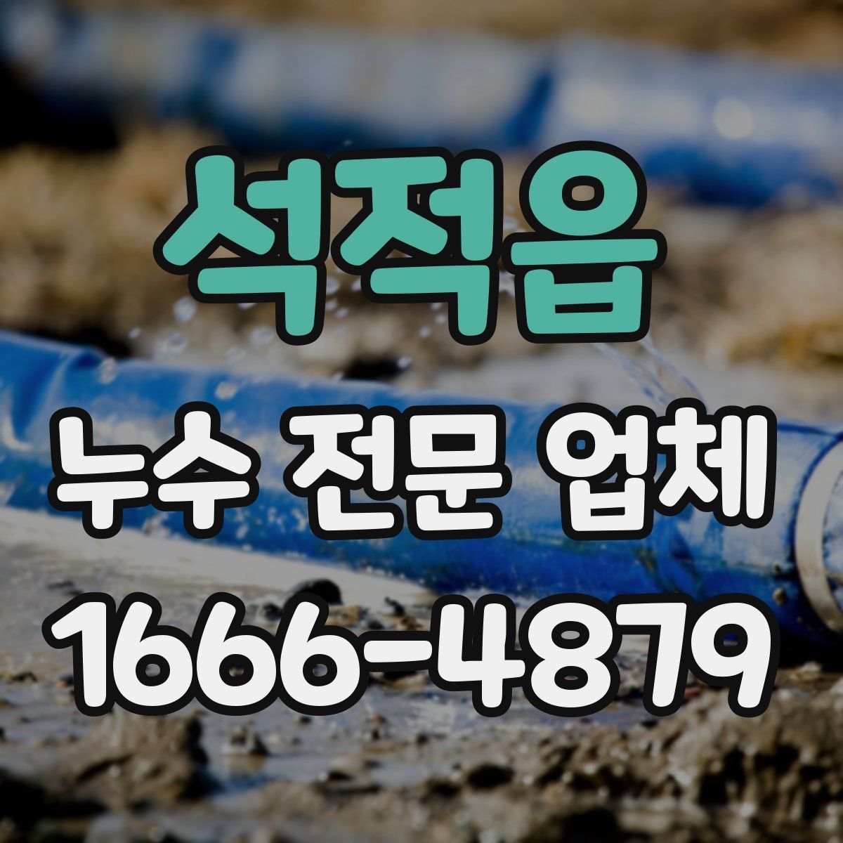 석적읍 누수 전문 업체
