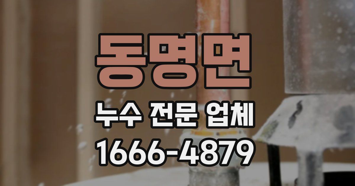 동명면 누수 전문 업체