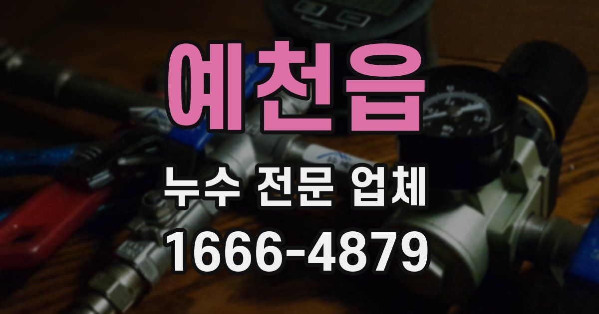 예천읍 누수 전문 업체
