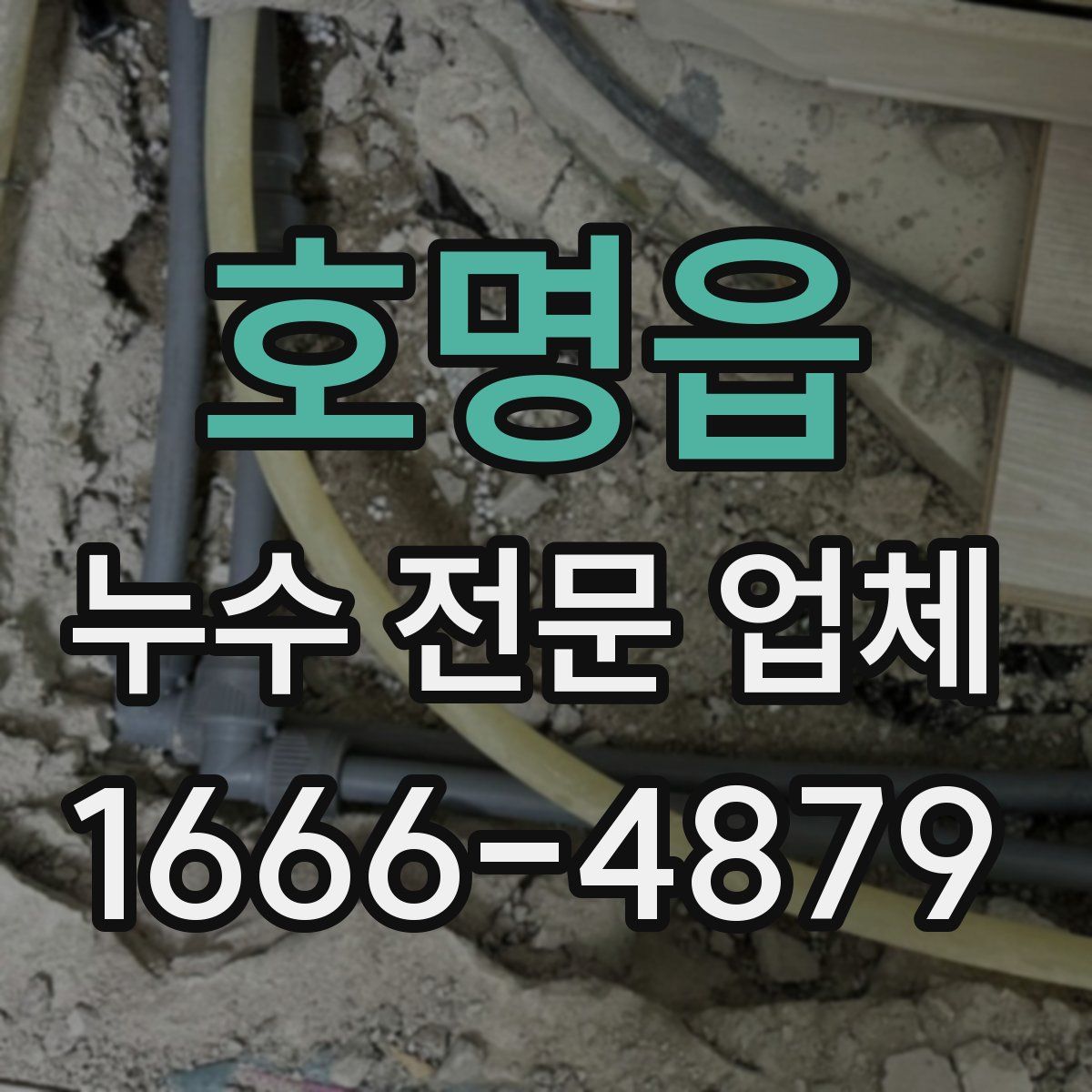 호명읍 누수 전문 업체