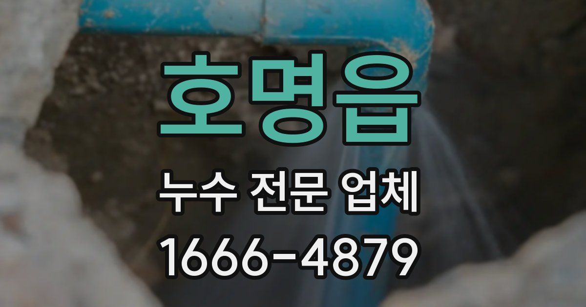호명읍 누수 전문 업체
