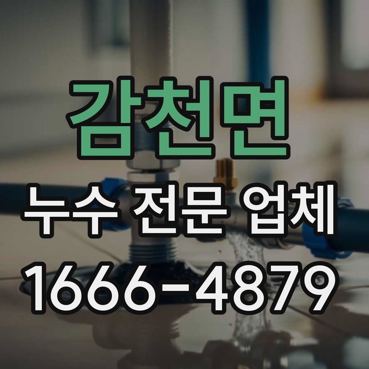 감천면 누수 전문 업체