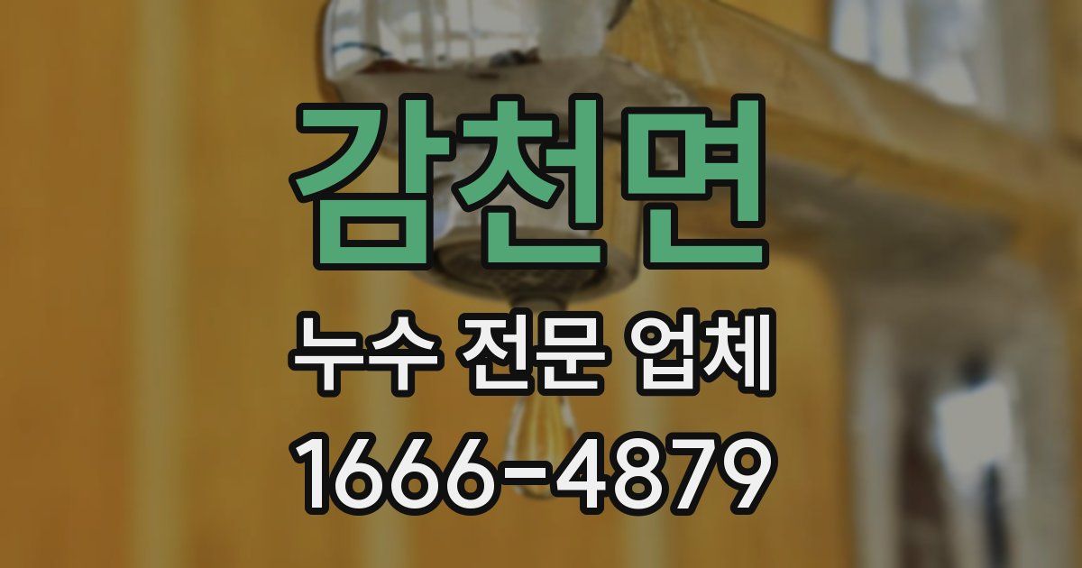 감천면 누수 전문 업체
