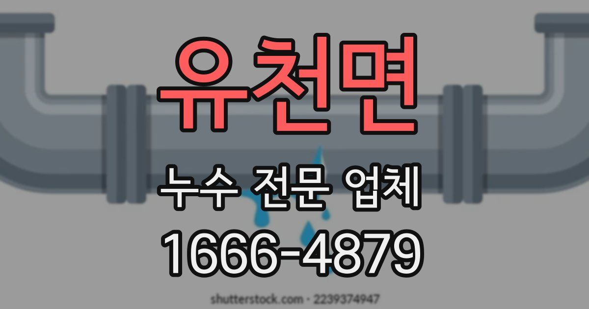 유천면 누수 전문 업체
