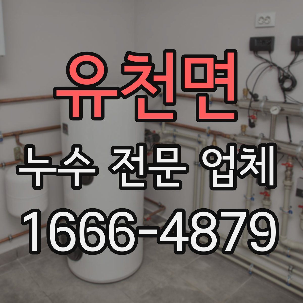 유천면 누수 전문 업체