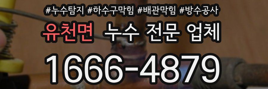 유천면 누수 전문 업체