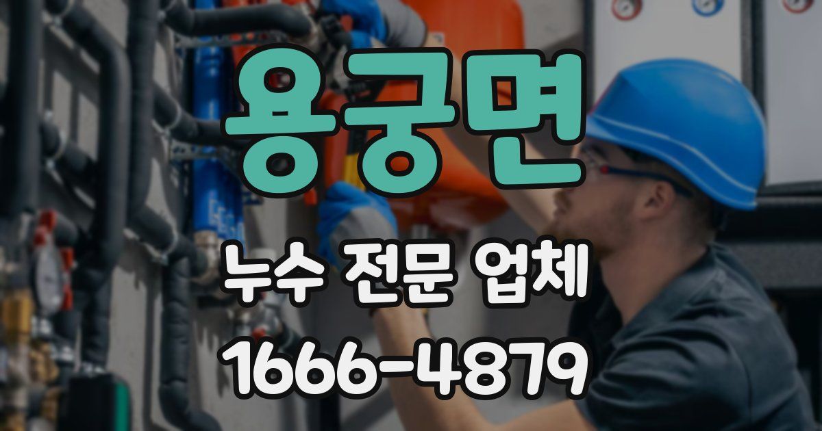 용궁면 누수 전문 업체
