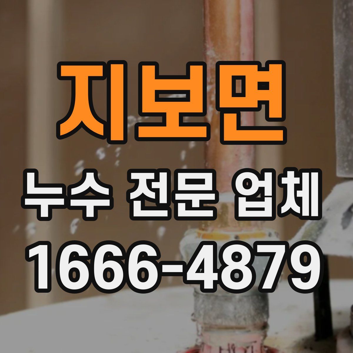 지보면 누수 전문 업체